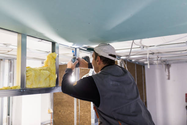 Best Attic Insulation Near Me  in Dane, WI
